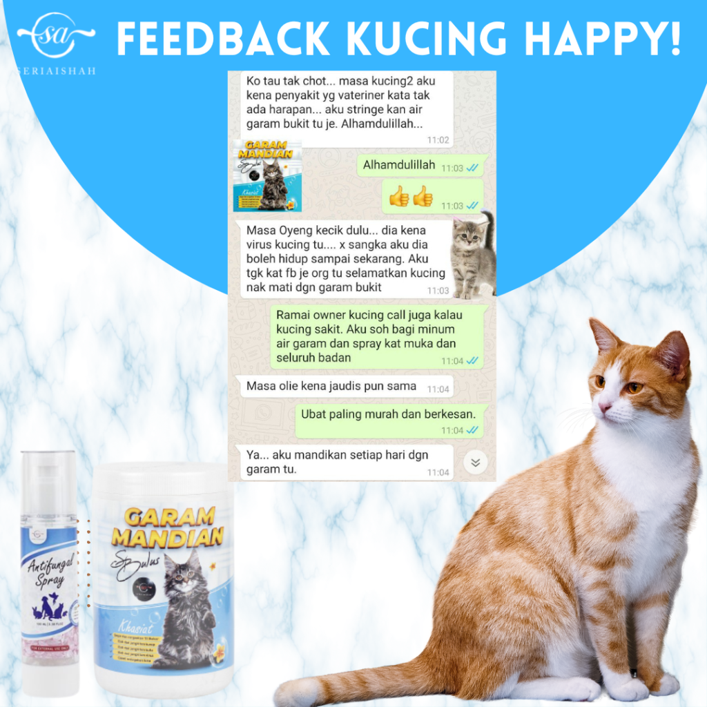 FEEDBACK-MGSB-AFS - Copy